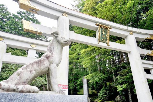 三峯神社の狼の像